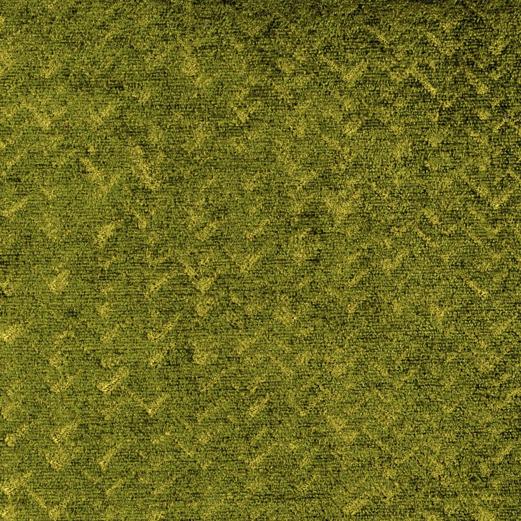 Coloris du tissu ROM/18 Forest